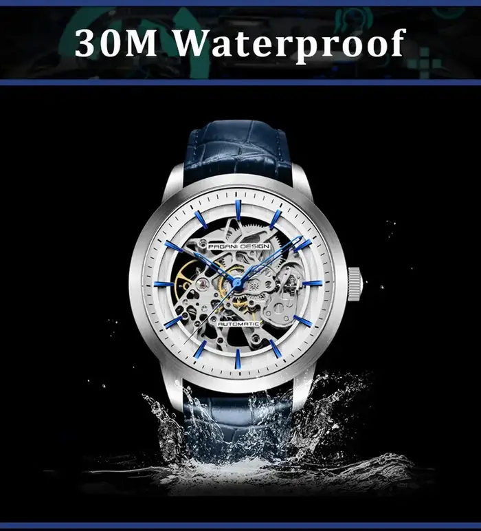 Montre pour homme PAGANI DESIGN