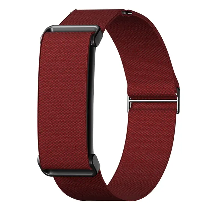 Bracelet de sport Google Fitbit Air