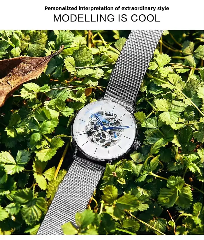 Montres pour hommes AILANG