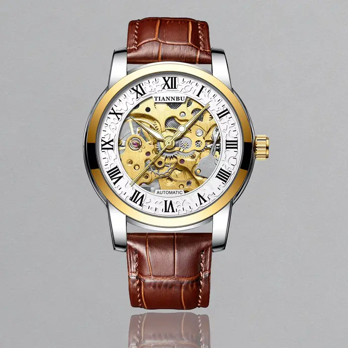 Montre mécanique automatique pour couple, homme et femme, à remontage automatique, montre-bracelet s