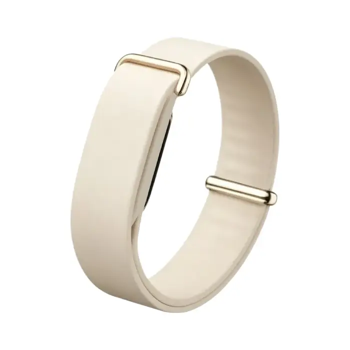 Bracelet de montre en Silicone pour Fitbit Air