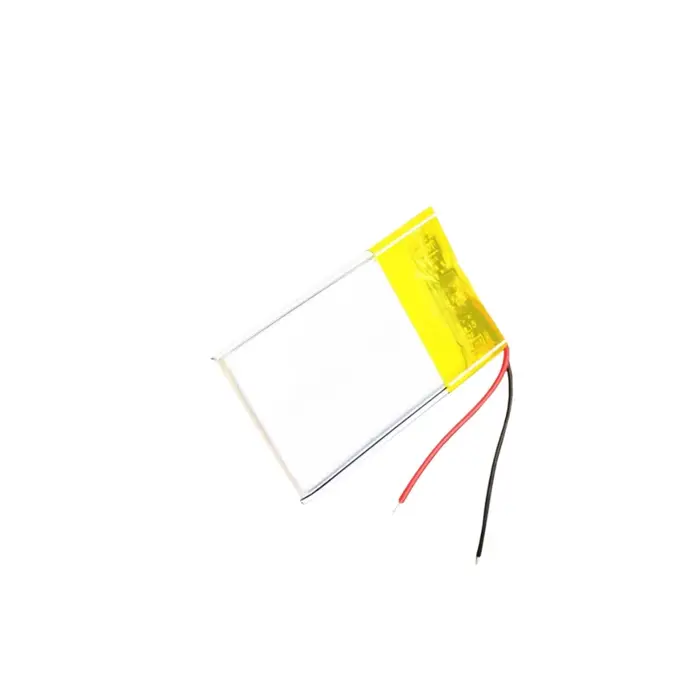 Batterie de montre intelligente pour Garmin Forerunner