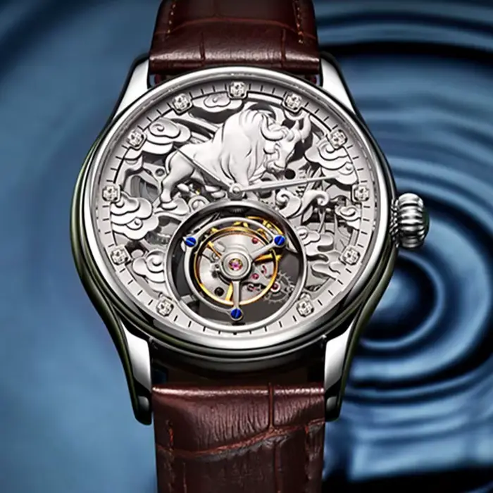 AESOP véritable Tourbillon squelette montre pour hommes haut de gamme montres mécaniques de luxe étanche saphir magasin