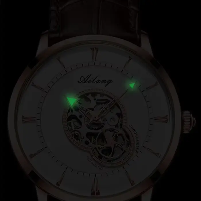 Montre de Luxe Homme 2026 en Acier Inoxydable