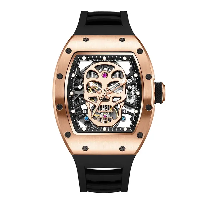 Montre mécanique de luxe pour hommes