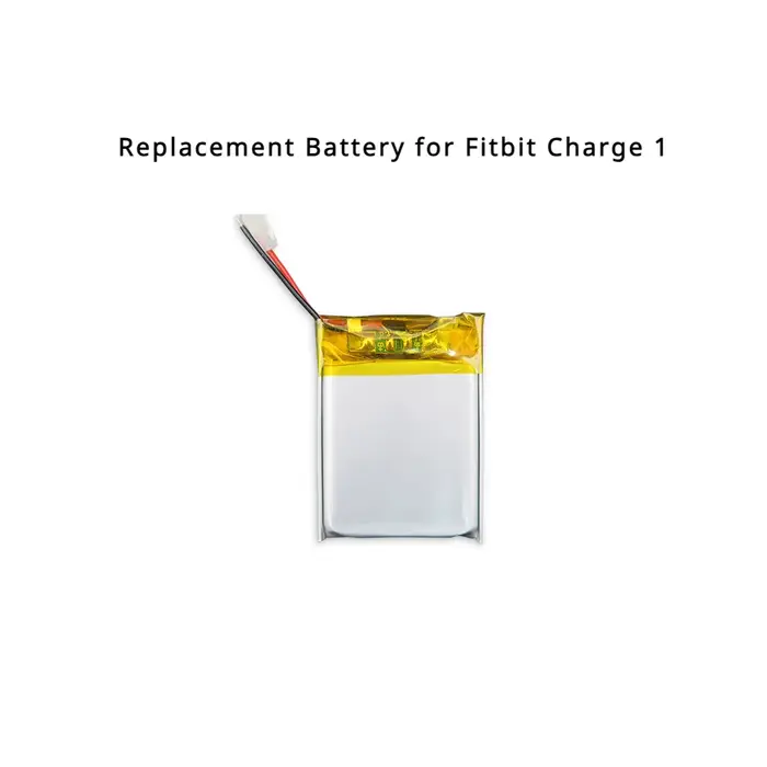 Batterie de rechange pour bracelet de montre intelligente Fitbit Charge 1