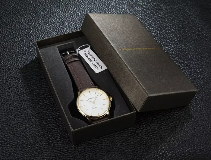 Montre mécanique étanche pour homme