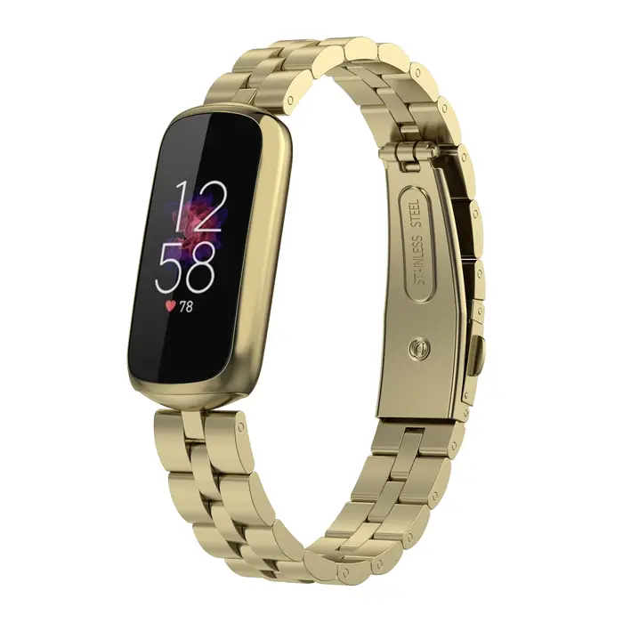 Bracelets de montre pour Fitbit Luxe