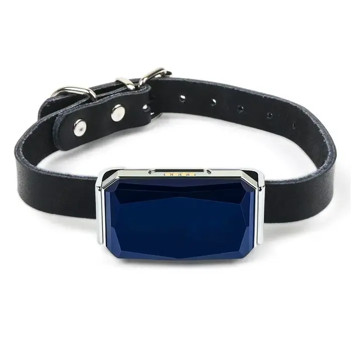 Mini traceur GPS de collier pour animaux de compagnie