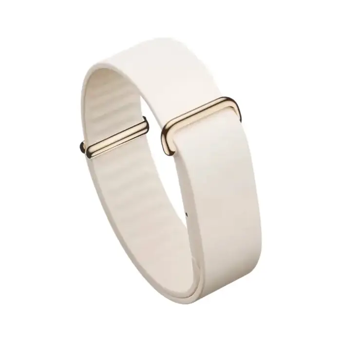 Bracelet de montre en Silicone pour Fitbit Air