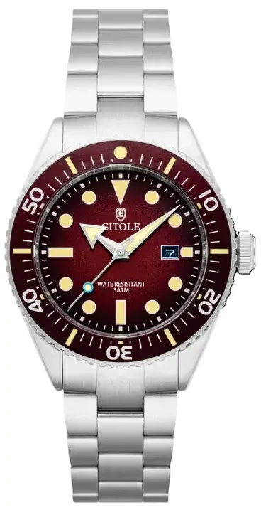 Montre CT2002 avec mouvement à quartz MIYOTA 2115