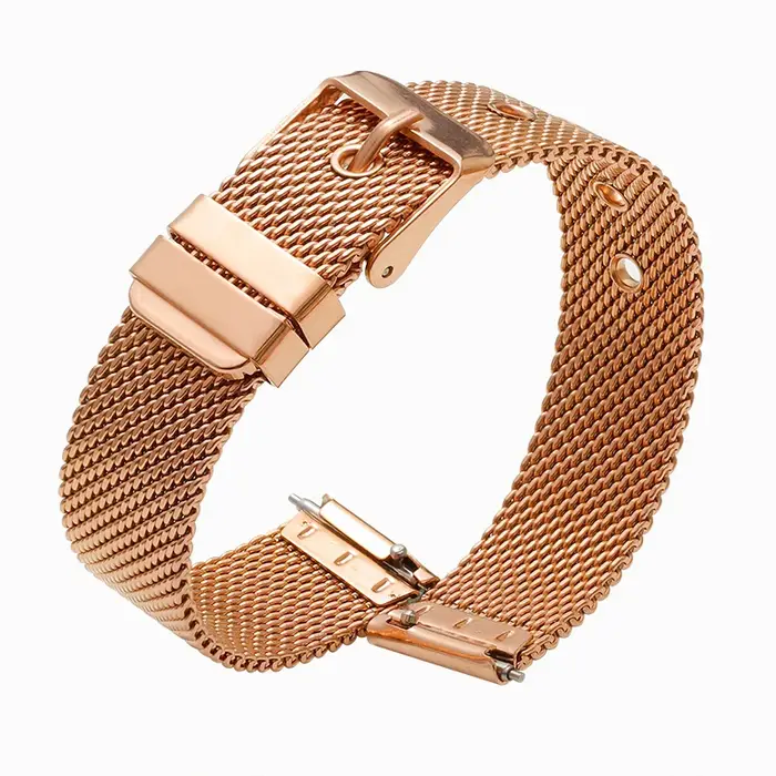 Bracelet de montre en acier inoxydable à dégagement rapide