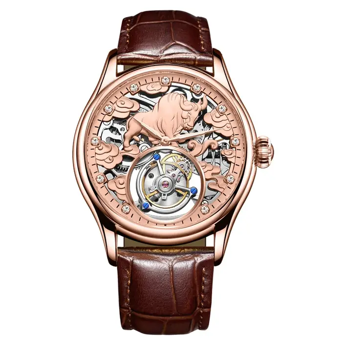 AESOP véritable Tourbillon squelette montre pour hommes haut de gamme montres mécaniques de luxe étanche saphir magasin