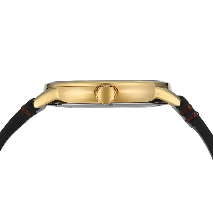 Montre mécanique étanche pour homme