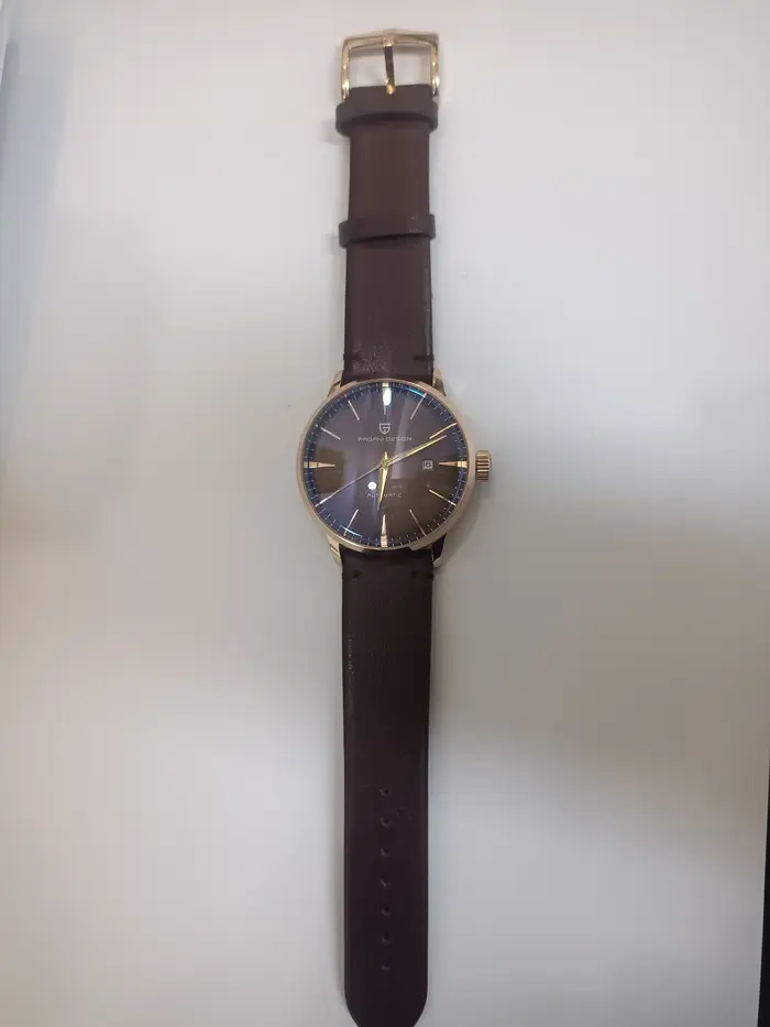 PAGANI DESIGN – montre-bracelet automatique pour hommes