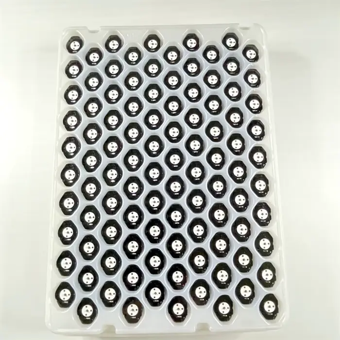 Montre à quartz à trois aiguilles sans calendrier PC21 de Singapour