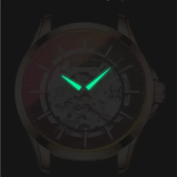 AILANG 2026 8629 Nouvelles Montres Mécaniques Bracelet en Cuir Véritable Étanche Montres-Bracelets Squelette Tendance Magasin Bright Future