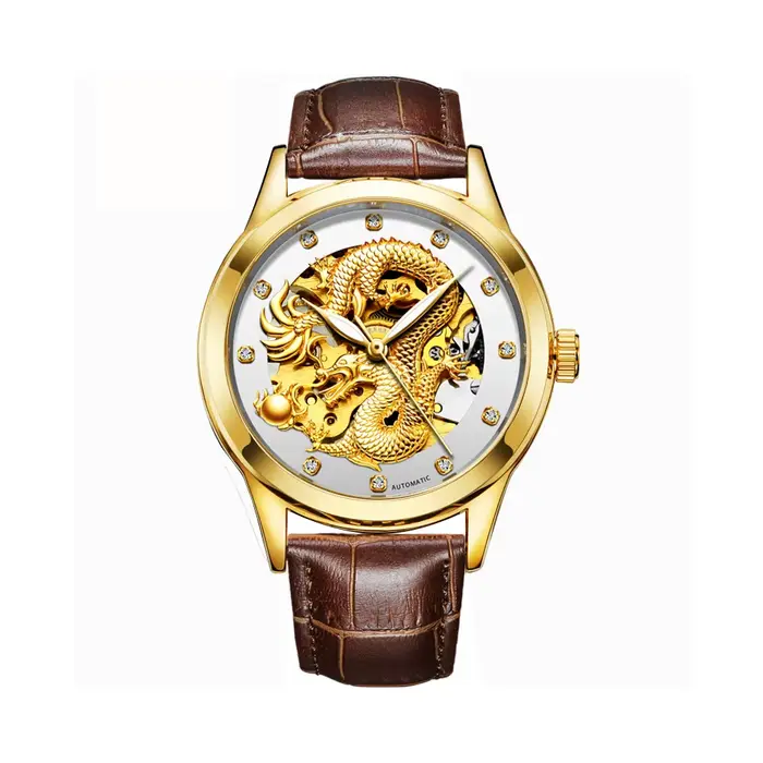 Montre automatique pour homme BINBOND, tourbillon, vintage, dragon, mécanique, montres-bracelets pou