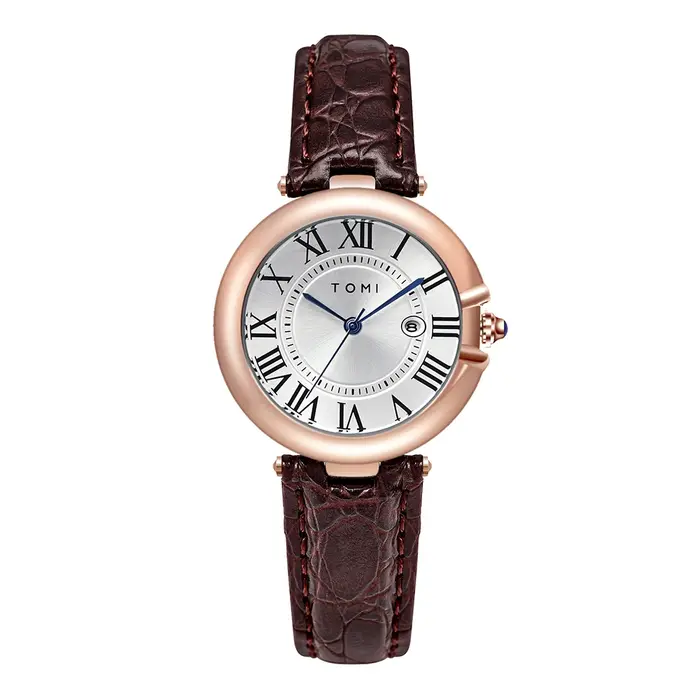 TOMI Simple mode montre pour femme élégant femmes Style luxe rond petit cadran calendrier ceinture m