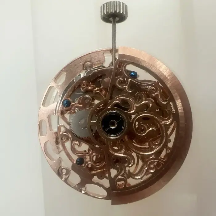 Accessoires de montre : Mouvement squelette gravé Hangzhou