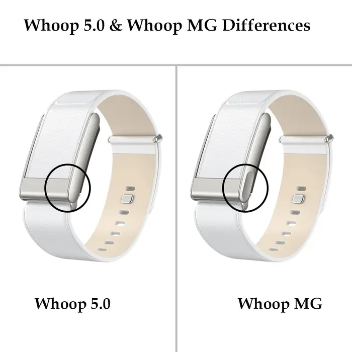 Bracelet en cuir d'origine pour Whoop 5.0/MG