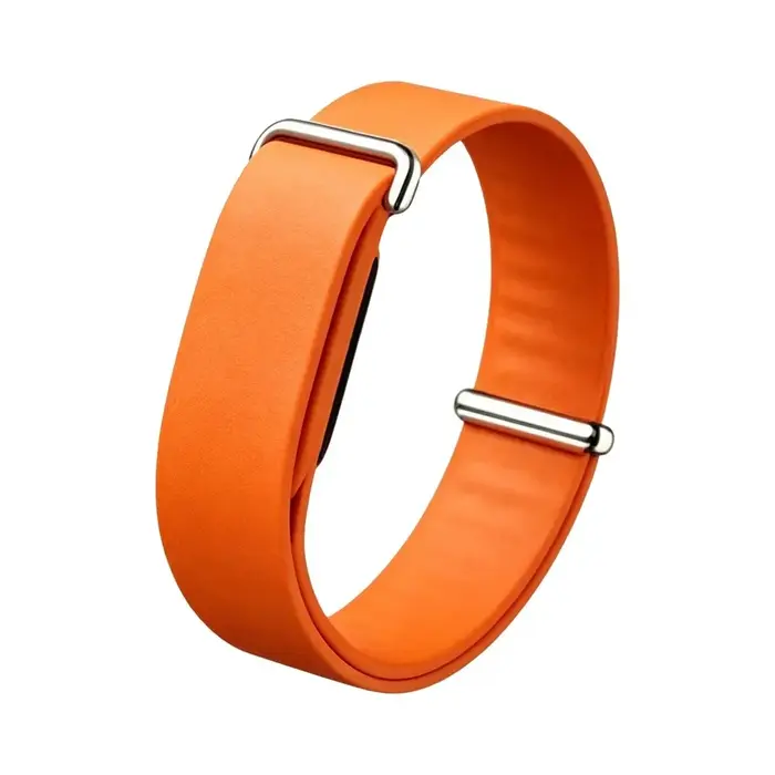 Bracelet de montre en Silicone pour Fitbit Air