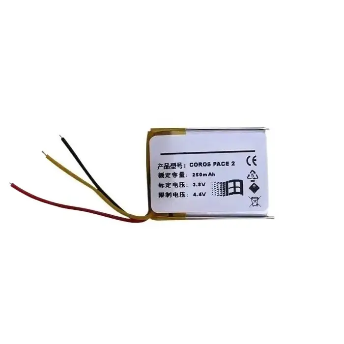 Nouvelle batterie de montre intelligente 3.8V 250mAh pour COROS PACE 2 Batteries de haute qualité