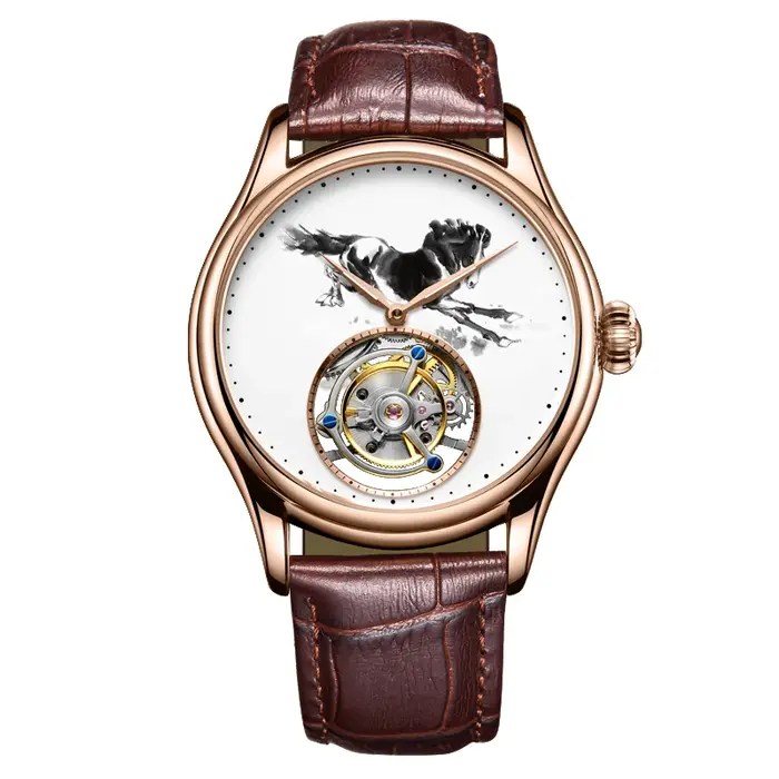 AESOP Tourbillon montre squelette pour hommes Double face pierres précieuses verre boîtier en acier fin étanche montres