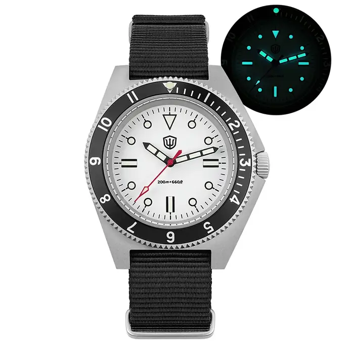 Watchdives WD1972 montre pour hommes VH31 balayage secondes mouvement à Quartz saphir montres en acier inoxydable étanche montre-bracelet lumineuse